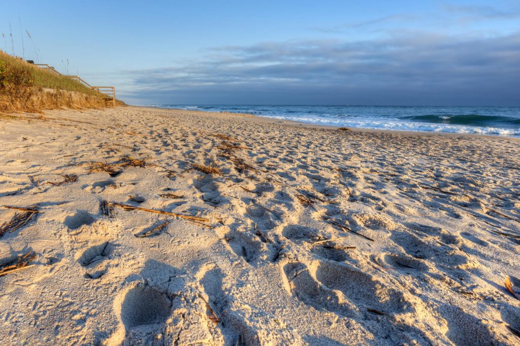 Canaveral National Seashore