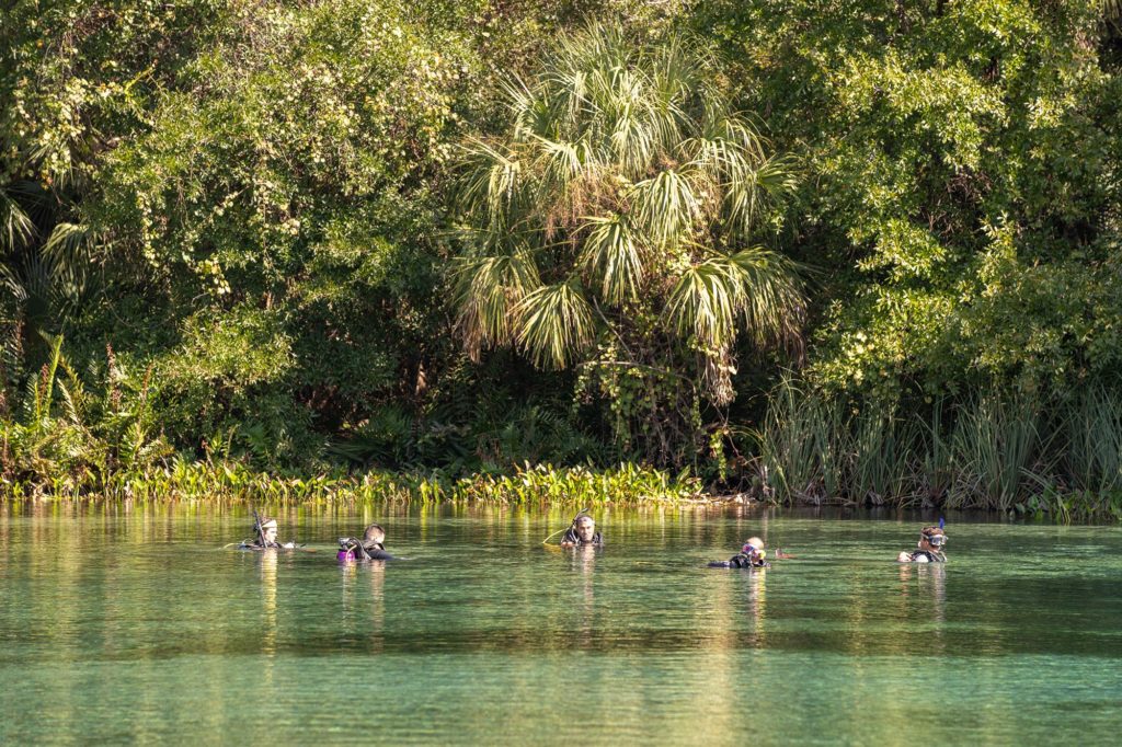 Ocala National Forest