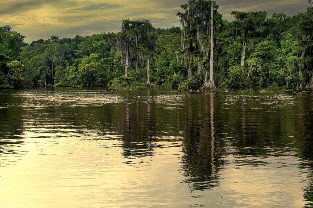 Walkulla Springs Florida