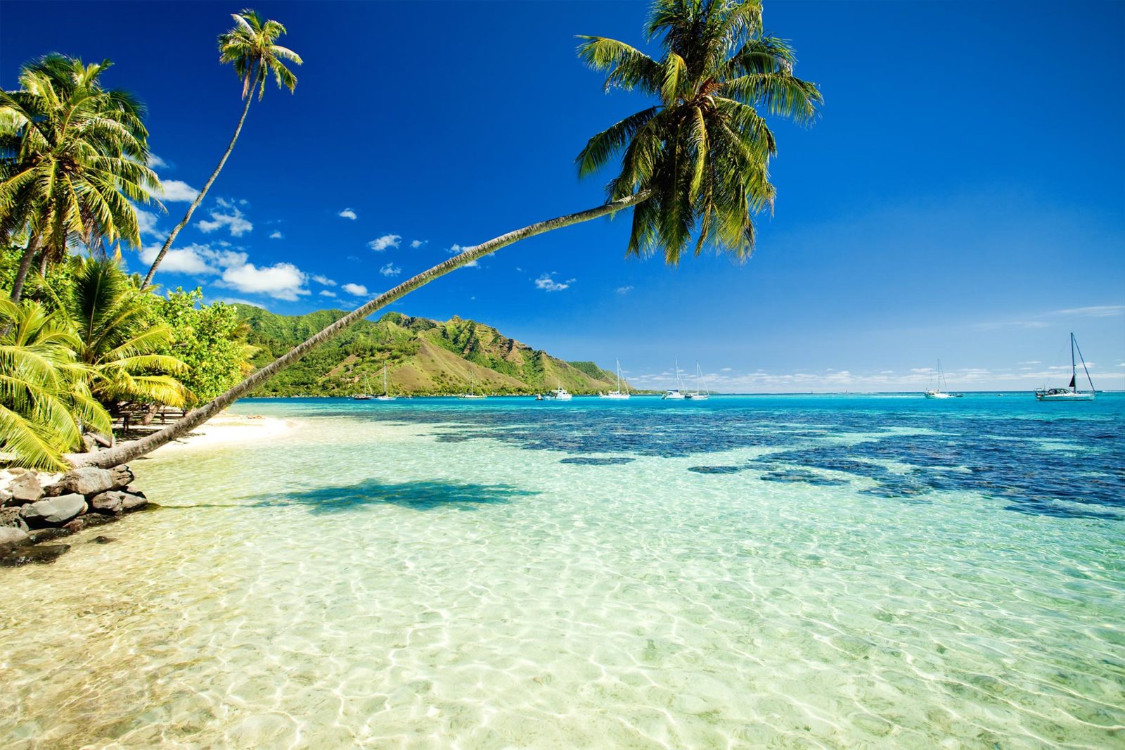 Ongrijpbaar faillissement Scherm Wat te doen tijdens een vakantie naar Hawaii - Hey!USA