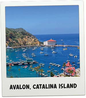 Polaroid Avalon, Catalina Island