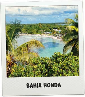 Bahia Honda, het mooiste strand van Amerika in de Florida Keys